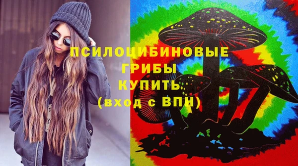 мдпв Армянск