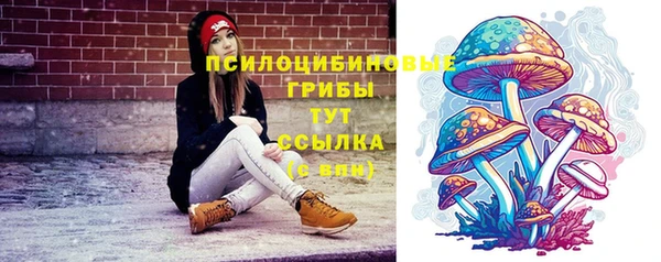 экстази Алексин